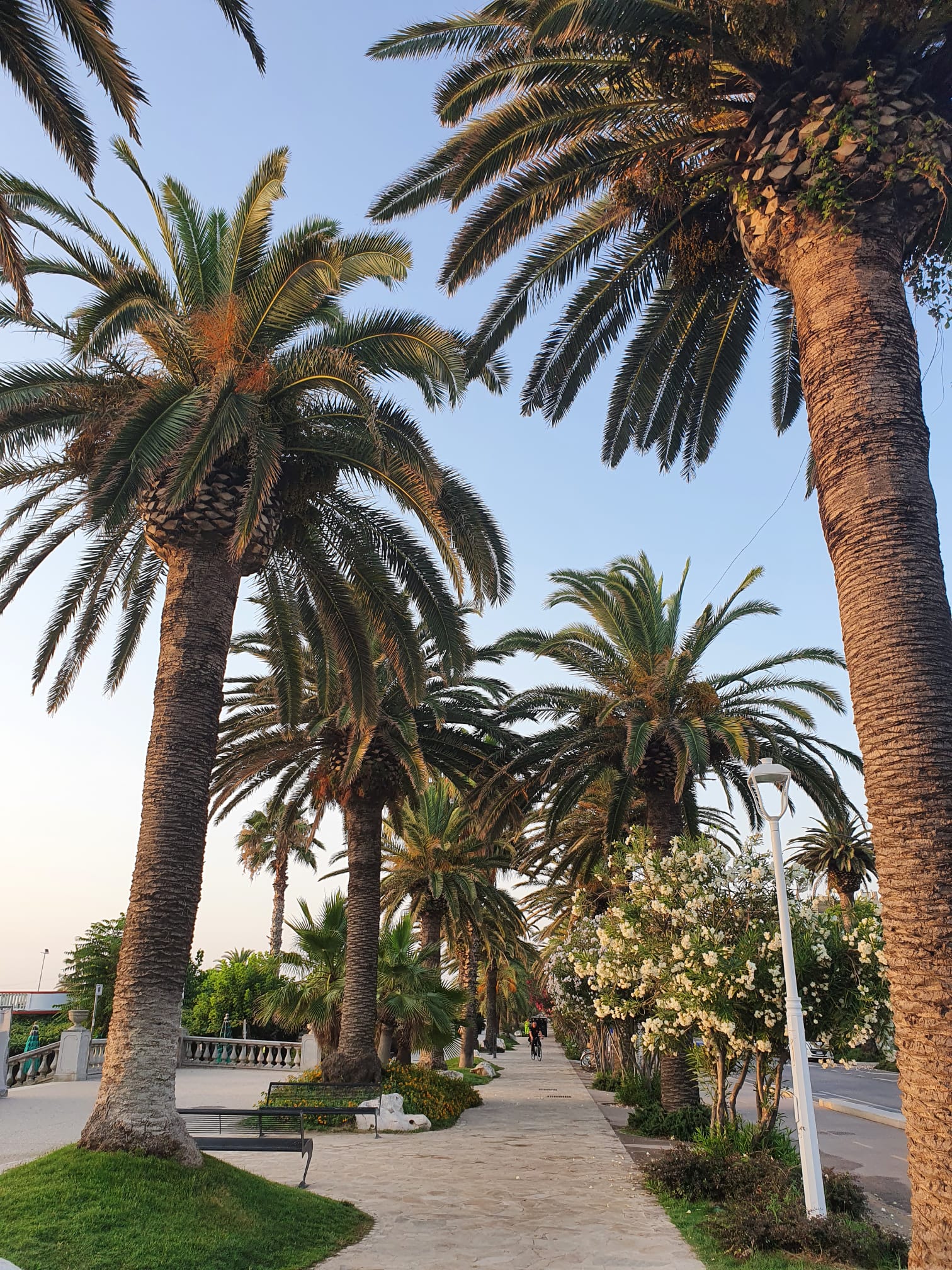 san benedetto del tronto